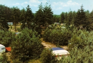 A27 Camping De Reehorst 13